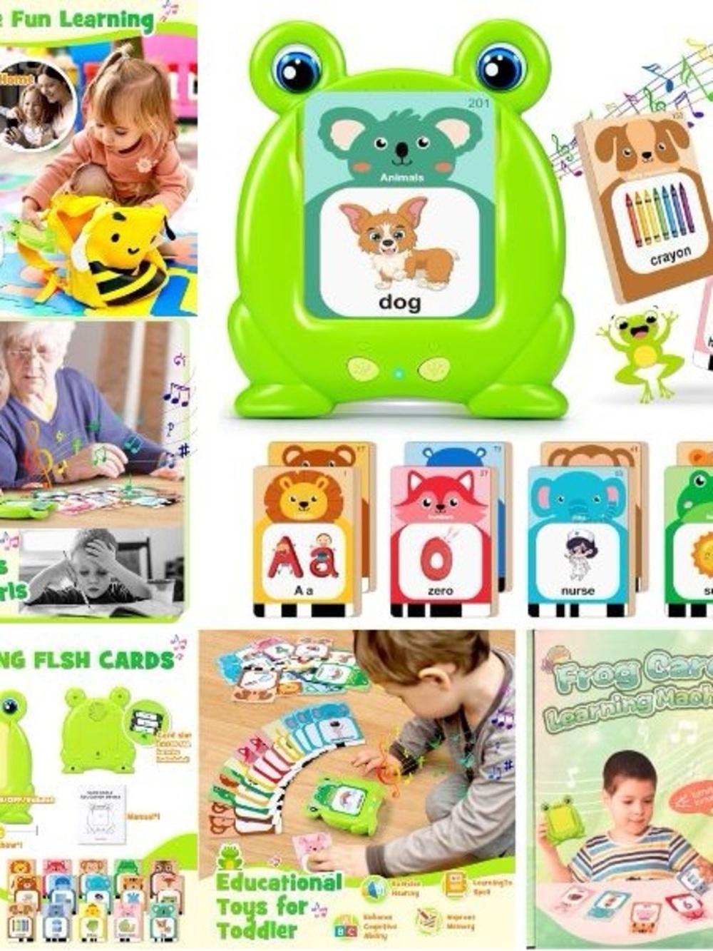 Green Frog Educational Flash Card Toy for Kids